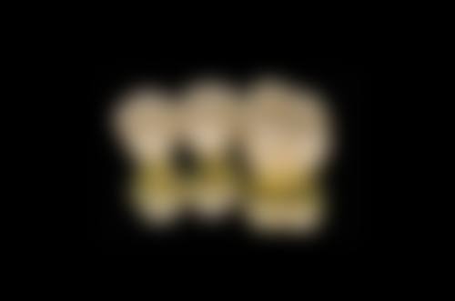 优惠活动详情:限时补贴 到店专享