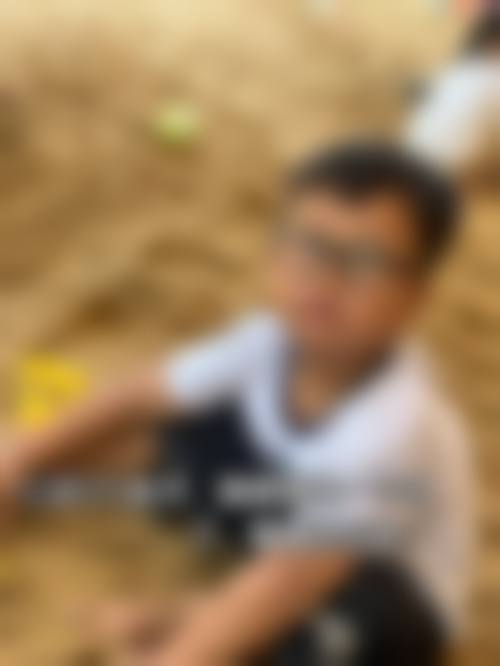 擅长项目详解