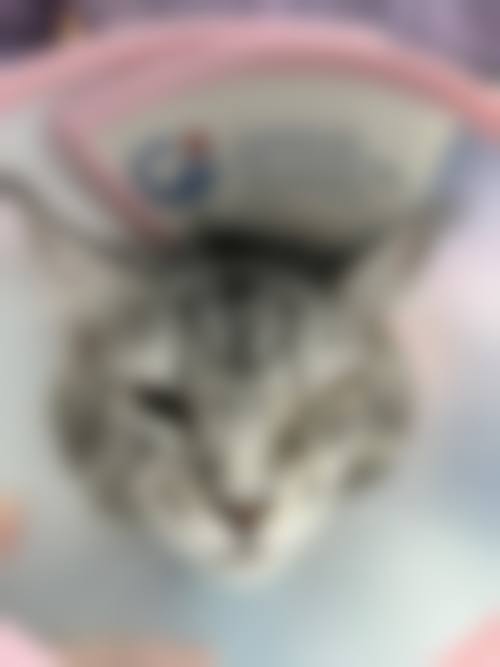 总结与预约号召