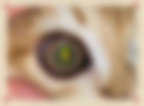 晋中市第一人民医院眼科预约挂号方式。