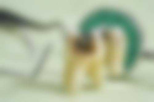 优惠活动详情：限时惠民价助力口腔健康