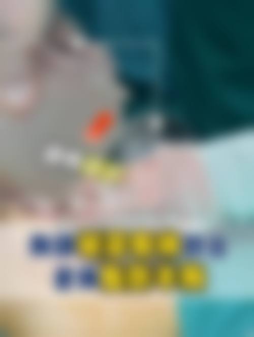 丽迪安擅长项目
