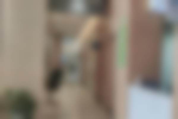 绵阳梓潼爱尔眼科医院地理位置便于到院。