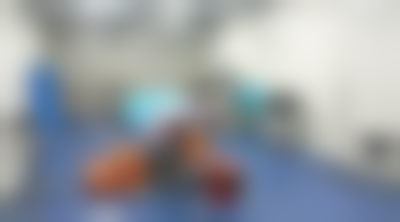 擅长项目详解