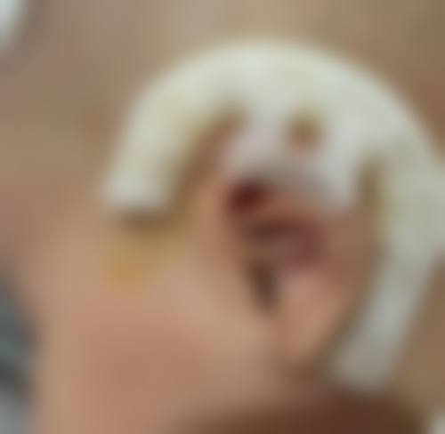 特色科室与项目