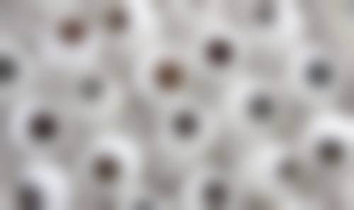 FAQ:常见问题解答