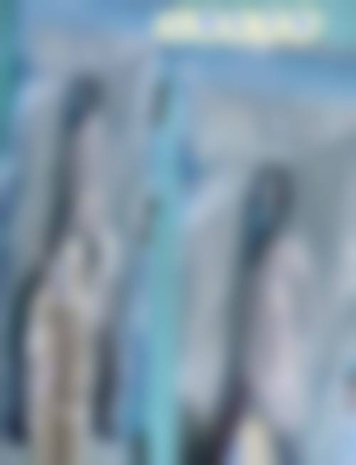 常见问题解答（FAQ）