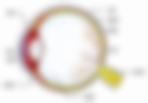 特色项目与精细诊疗：覆盖全年龄段眼健康