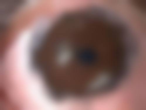 常见问题解答（FAQ）