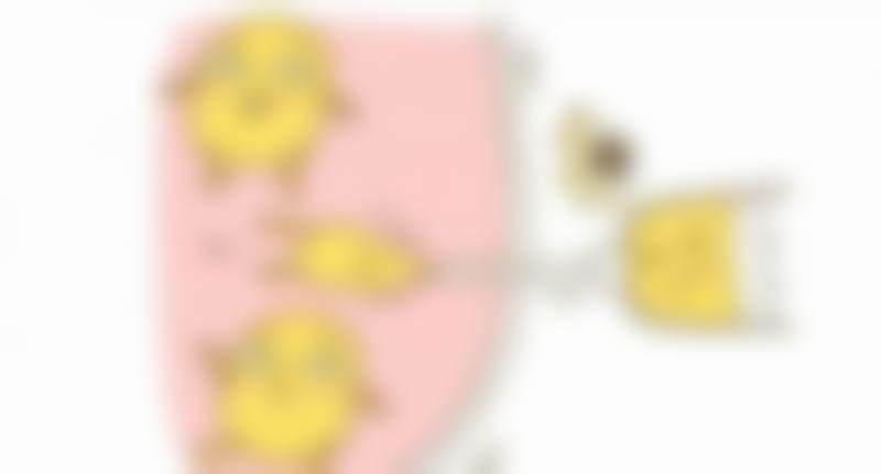 拉蒂安医疗中 心SurinnartCharoenchitt医生技术好不好？