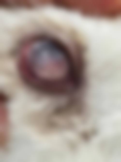 诊疗特色总结