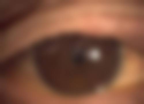 医生资质介绍