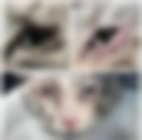预约优惠活动