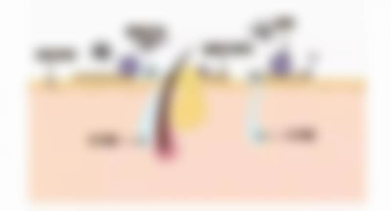 拉蒂安医疗中 心擅长项目