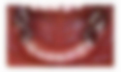 优惠活动详情