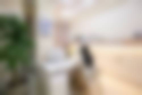 预约优惠活动