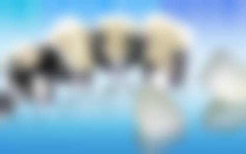 偃师友好小白兔口腔门诊部口碑评价