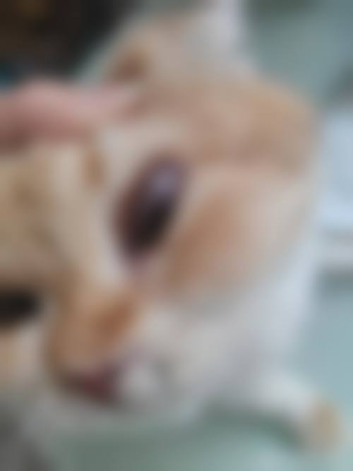 特色科室与项目——全方面覆盖眼科常见及疑难病症