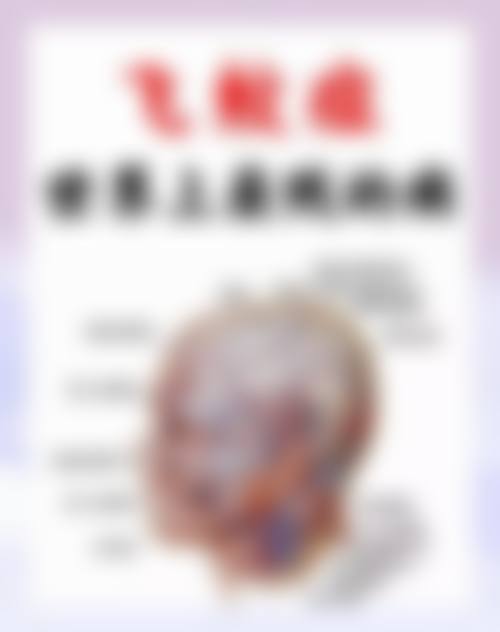 擅长项目详解