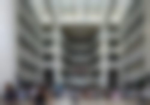 特色技术与项目:解决您的变得更美需求