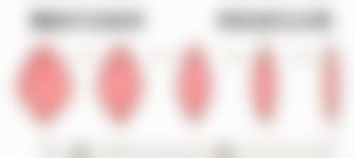 优惠活动详情