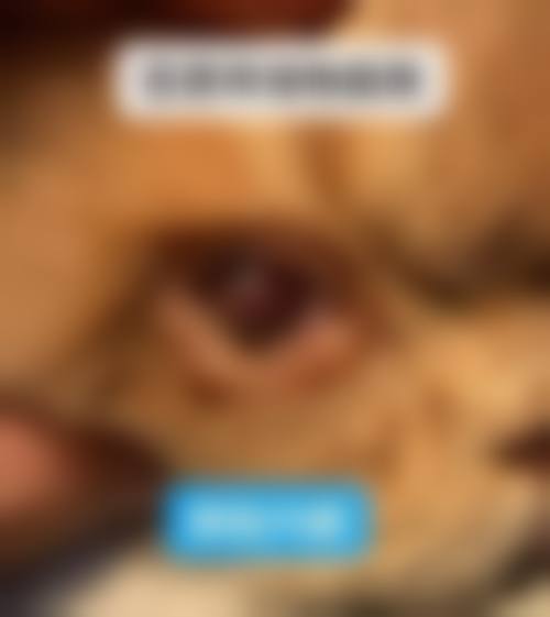 永州爱尔眼科医院预约挂号方式。