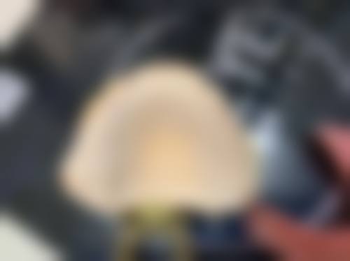 常见问题解答
