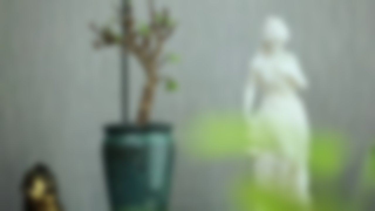 诊疗特色总结