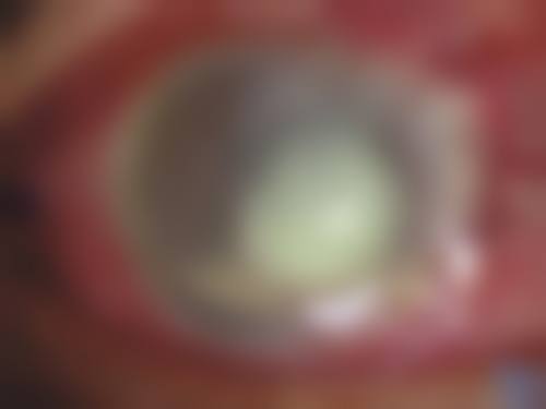 医院资质与实力