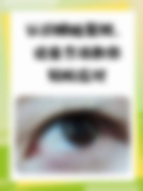 擅长项目详解