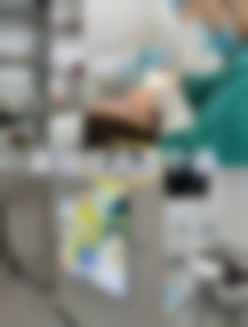 擅长项目详解